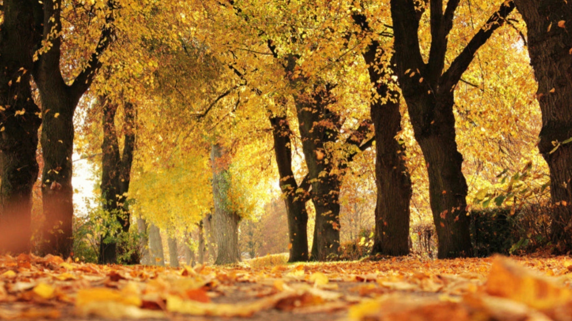 10 Manieren om te vertragen in de herfst: Slow living en rust in huis